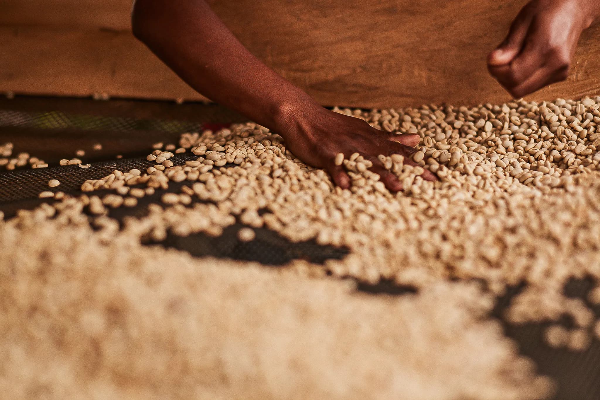 乾燥仕上げと格付け